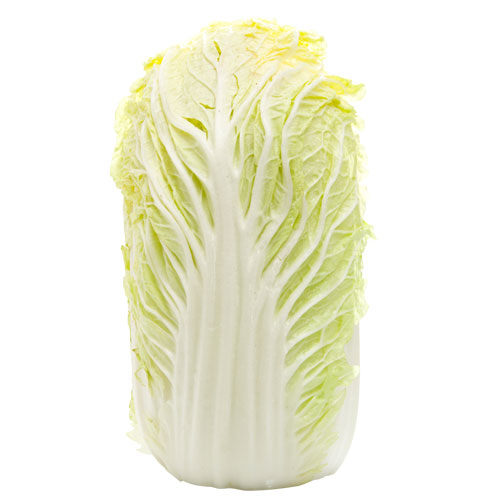 napa-lettuce