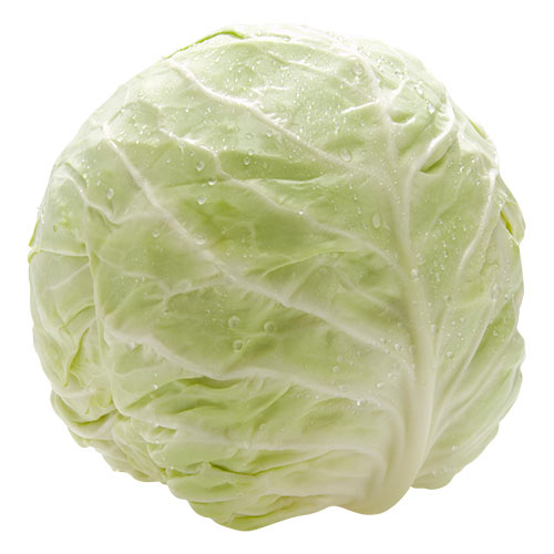 cabbage-bonipak-produce-18