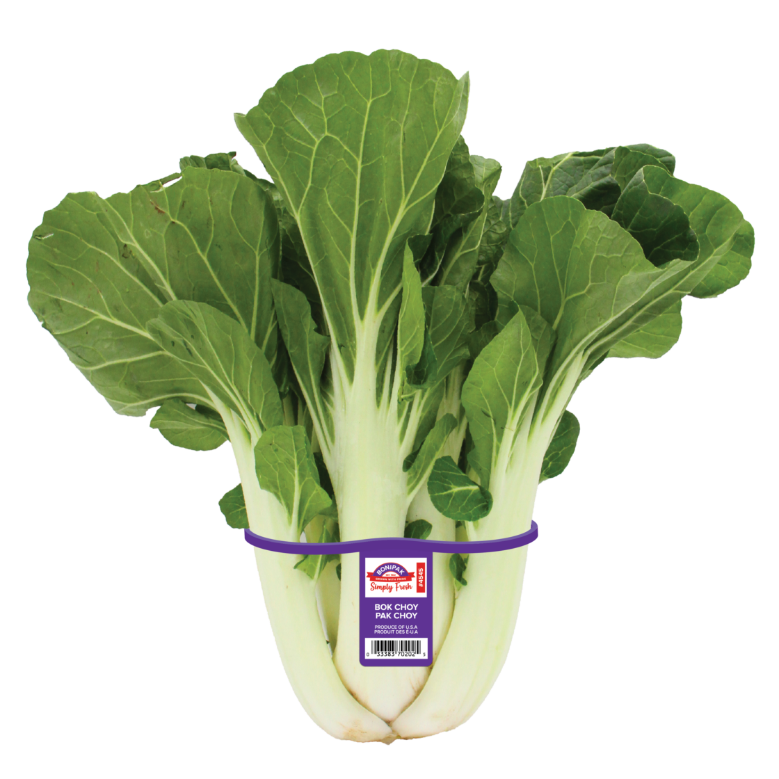 Bok Choy