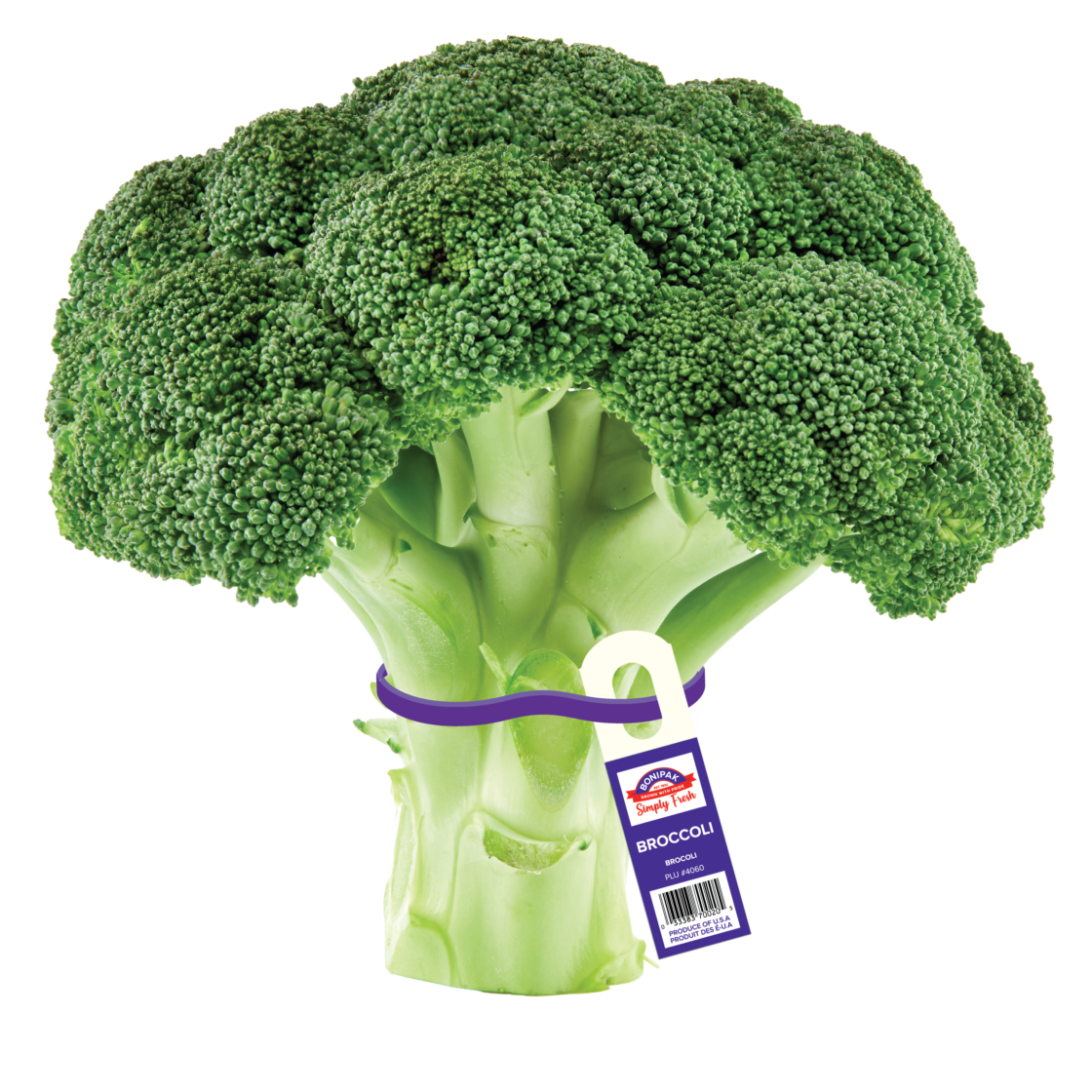 Conventional Broccoli