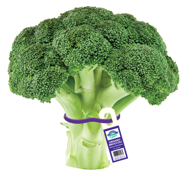 Organic Broccoli