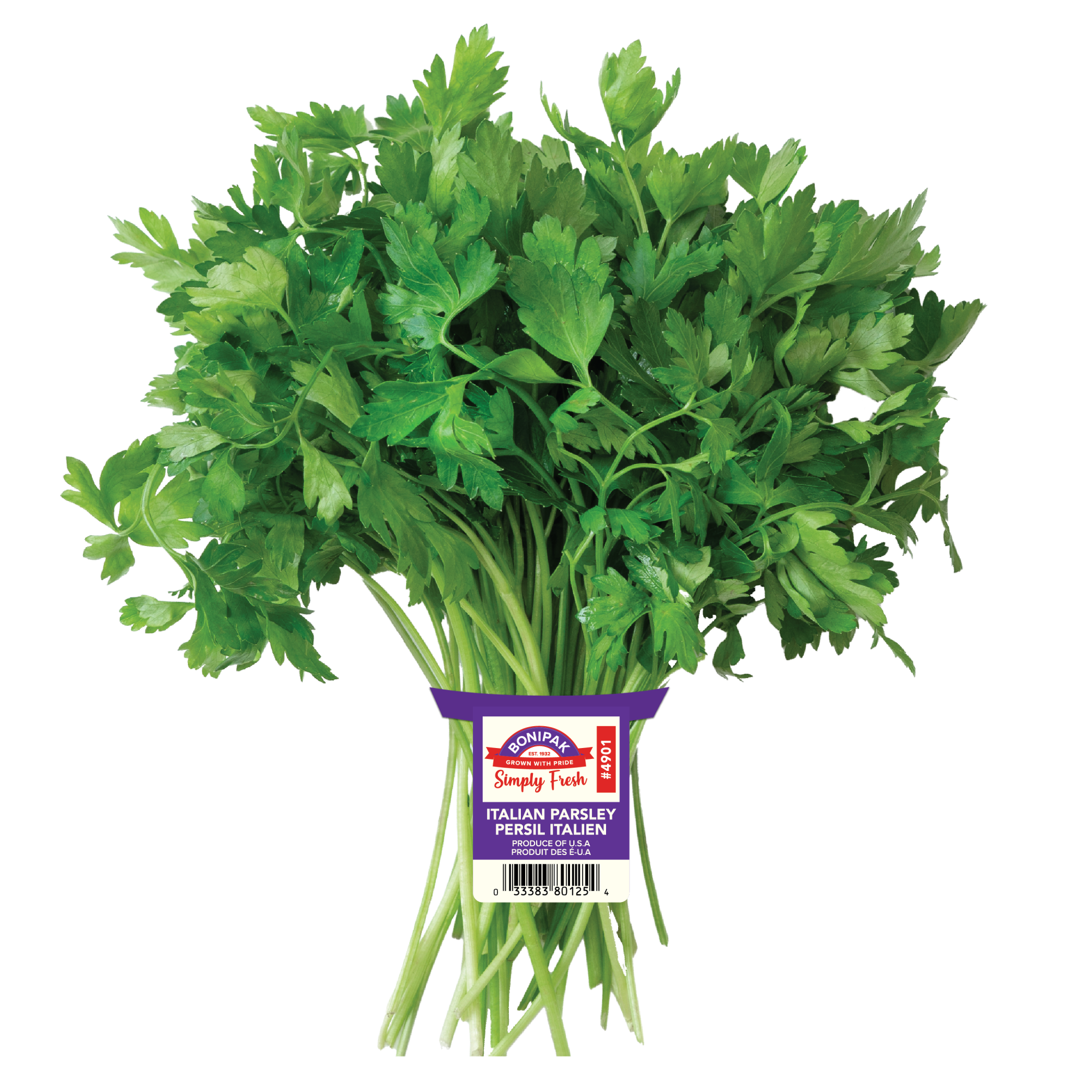 Italian Parsley Bunch