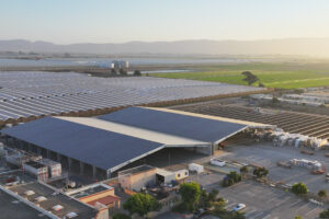 Bonipak's Solar Canopy