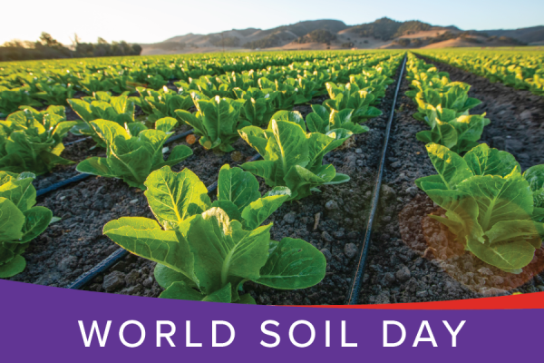 World Soil Day
