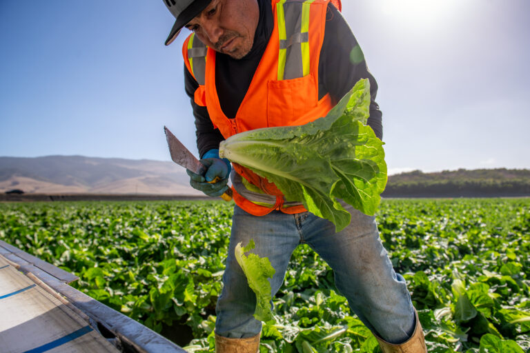 Recognizing Farm Safety Week