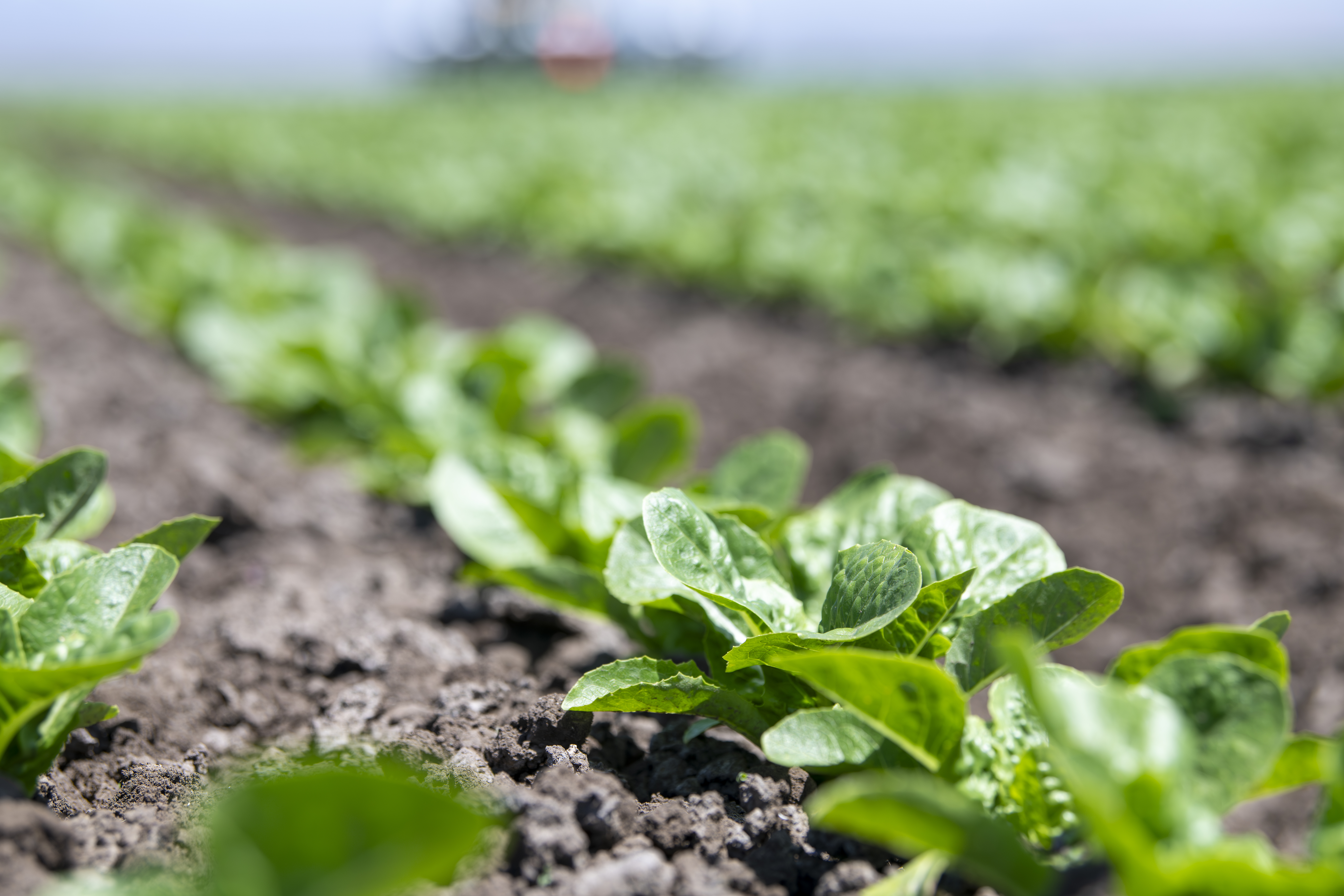 Bonipak Releases 2025 Sustainability Report