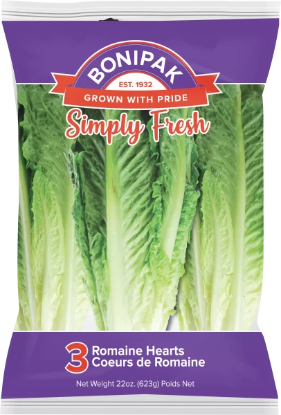 Romane-Hearts-Mock-Up-03