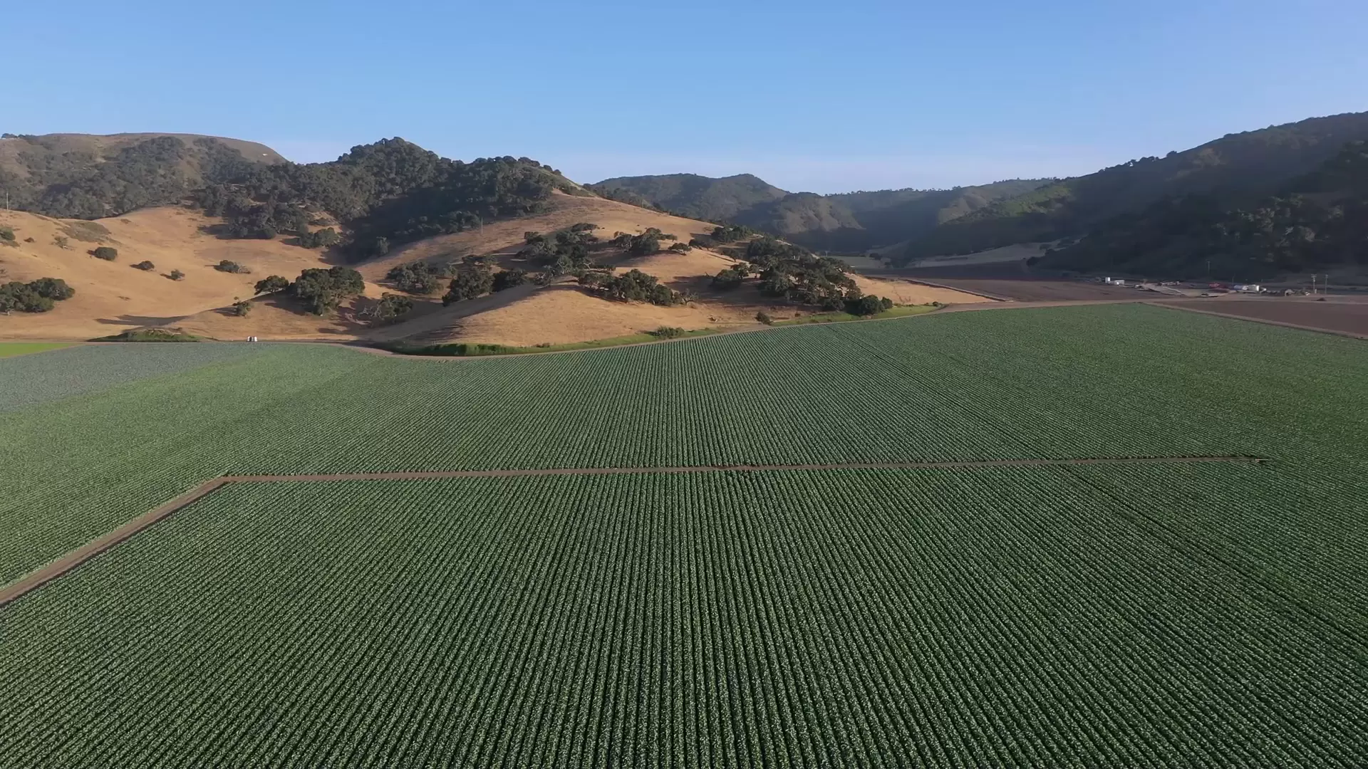 DJI_0867_1080_Just_FlyOver-COVER