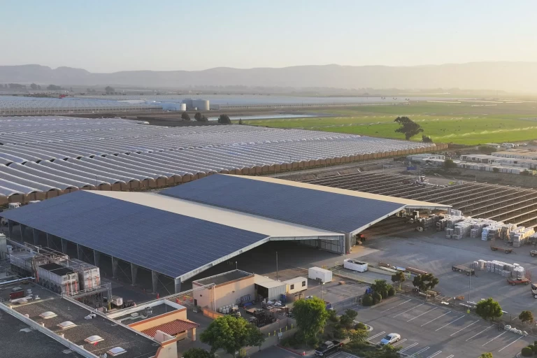 DJI_20230828190220_0462_D-scaled