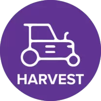 harvest
