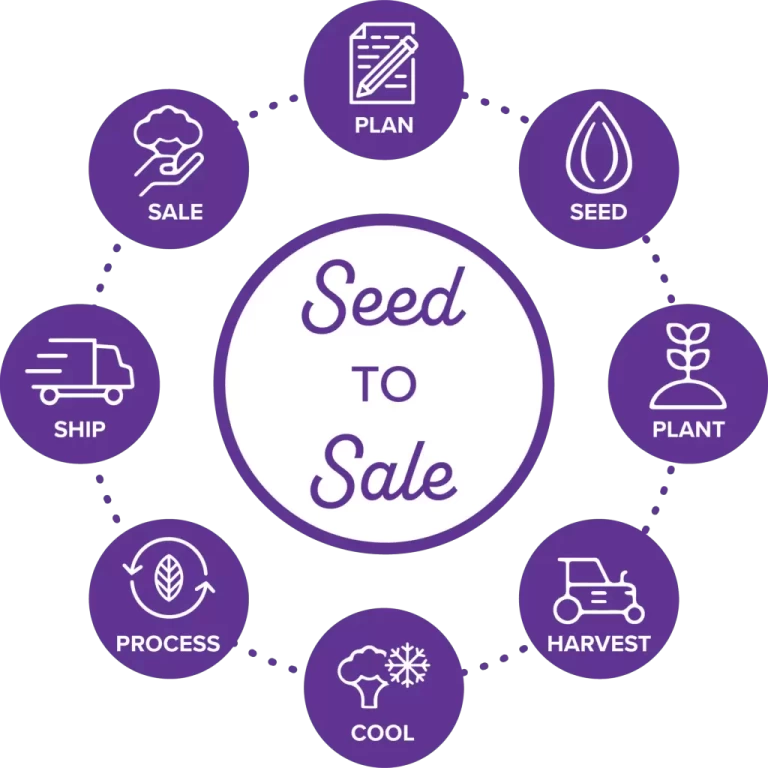 Seed-to-Sale-Graphic-1024x1024