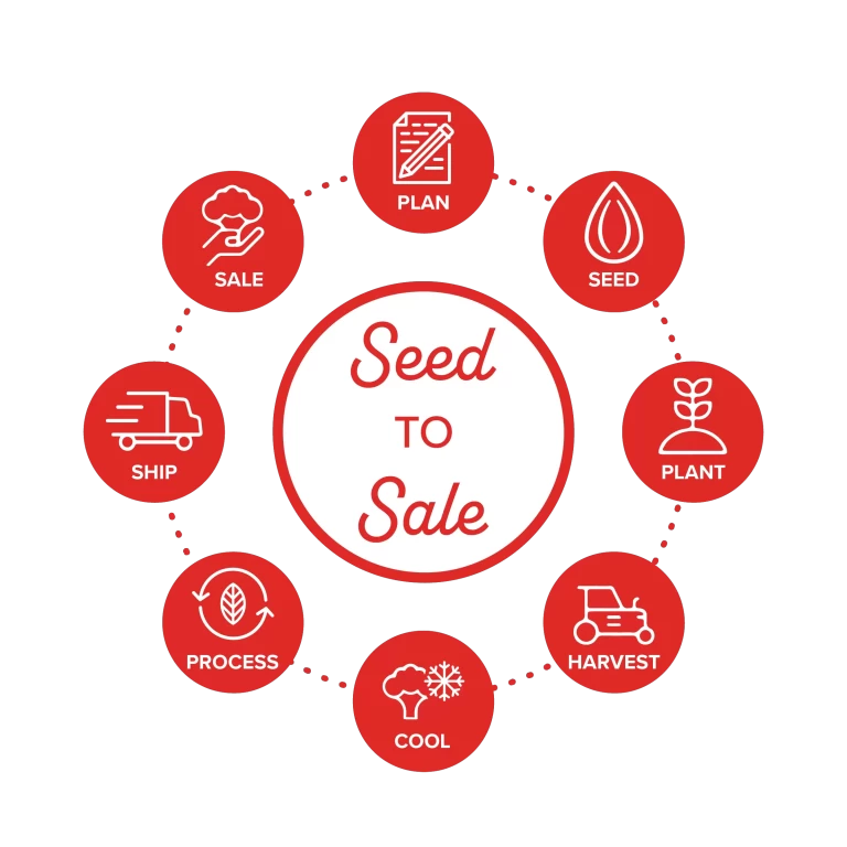 Seed-to-Sale-Graphic_Option-2-Red