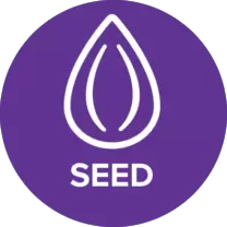 seed