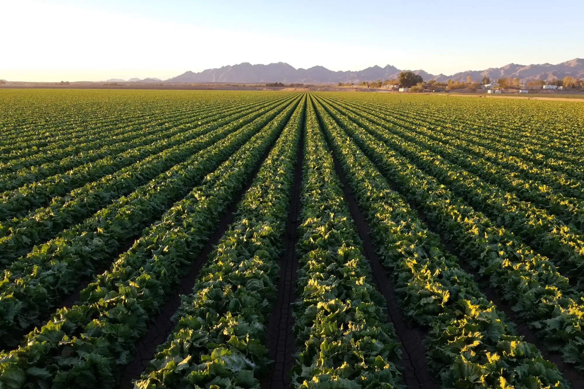 Yuma-AZ-cropped-scaled