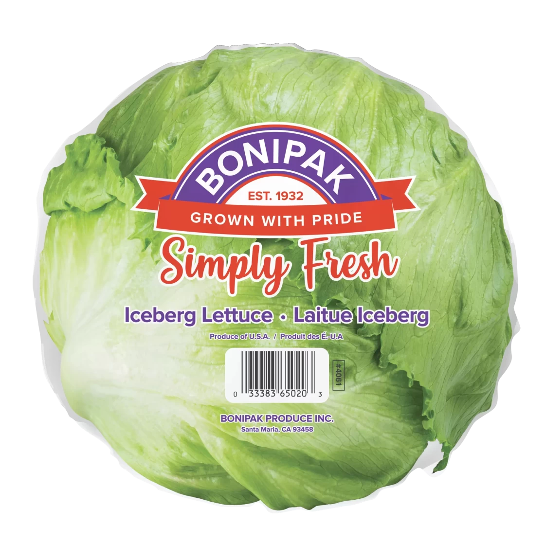 Iceberg-mockup-01---Copy
