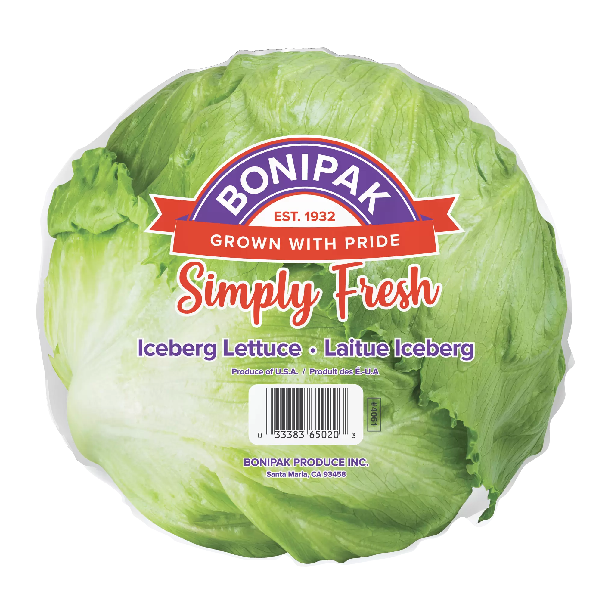 Iceberg-mockup-01---Copy