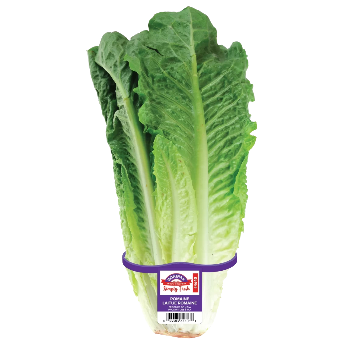 Romaine Tag Mock Up-01