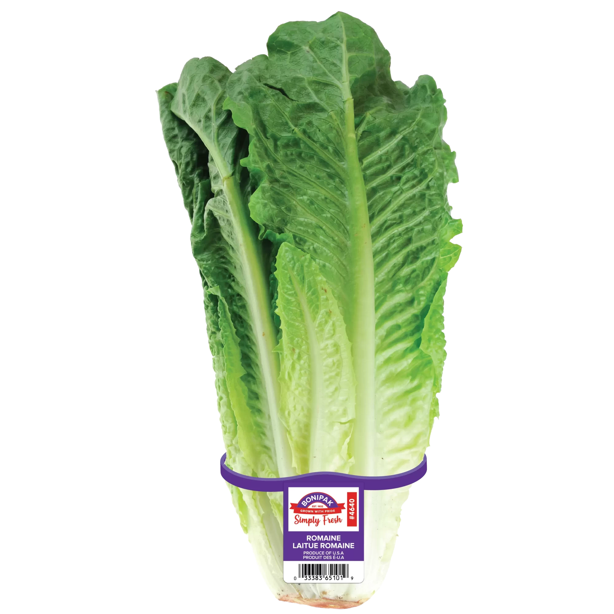 Romaine Tag Mock Up-01