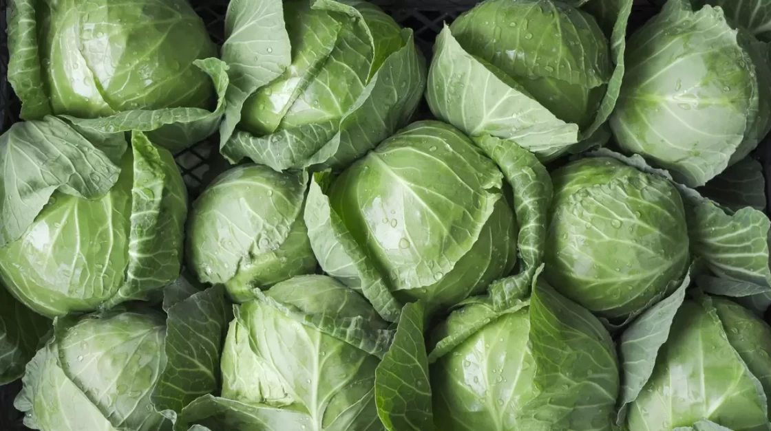 Screenshot 2026-03-09 134610