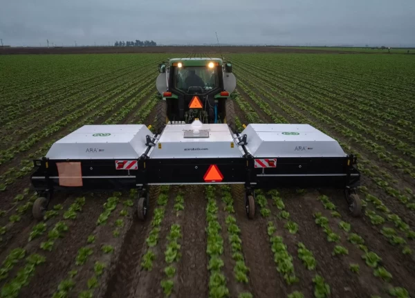 Screenshot 2026-03-31 071206