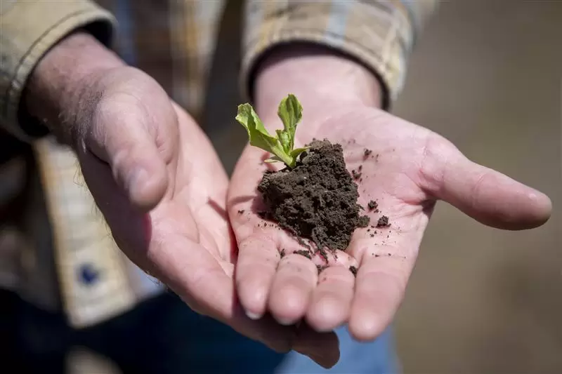 Beyond Earth Day: How We Farm Every Day