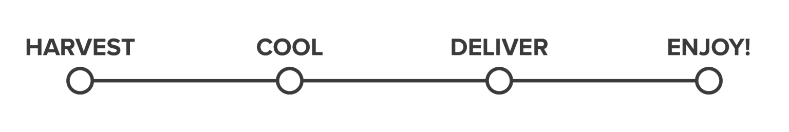 Timeline